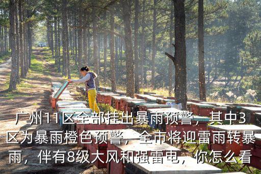 廣州11區全部掛出暴雨預警，其中3區為暴雨橙色預警，全市將迎雷雨轉暴雨，伴有8級大風和強雷電，你怎么看