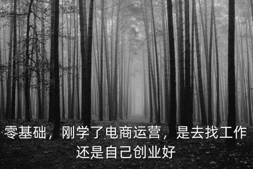 廣州零基礎怎么學電商運營,零基礎學電子商務怎么樣