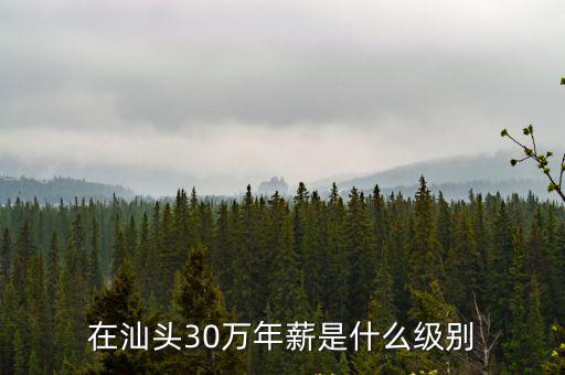 汕頭年薪二十萬(wàn)怎么樣,年薪二十萬(wàn)人民幣