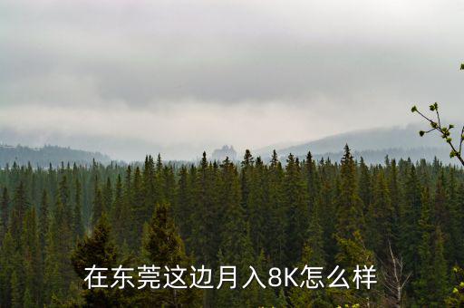 在東莞這邊月入8K怎么樣
