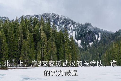 宿遷醫療隊支援武漢多少人,各省支援湖北醫療隊返回家鄉