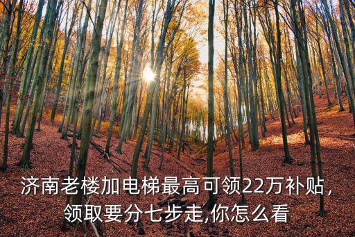 濟(jì)南老區(qū)安電梯補(bǔ)貼多少,濟(jì)南老樓裝電梯