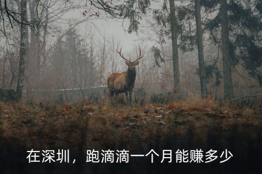 在深圳，跑滴滴一個月能賺多少