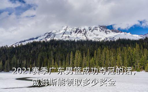 廣東奪冠獎金多少,馬尚的工資 奪冠獎金有多少