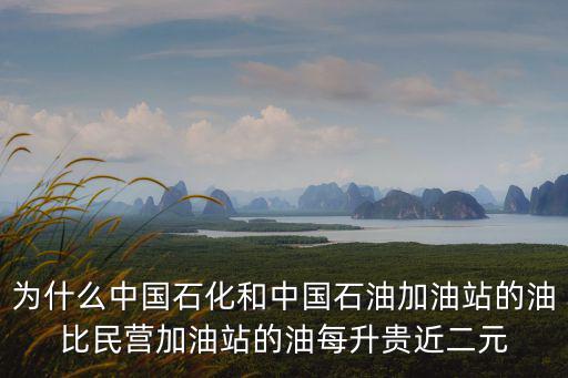 為什么中國石化和中國石油加油站的油比民營加油站的油每升貴近二元