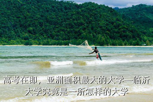 臨沂大學中國排名多少,聊城大學如何排名