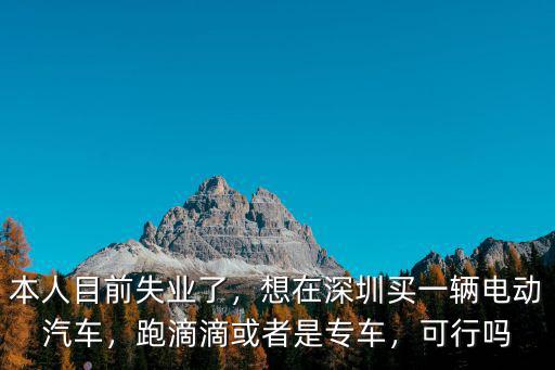 本人目前失業了，想在深圳買一輛電動汽車，跑滴滴或者是專車，可行嗎