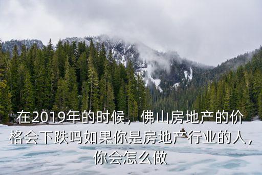 佛山房地產市場月報在哪里,佛山房地產的價格會下跌嗎