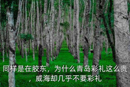 青島即墨結(jié)婚多少彩禮,想知道這邊結(jié)婚彩禮多少錢(qián)