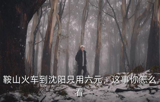 鞍山到濟寧動車多少錢,鞍山火車到沈陽只用六元