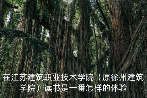 徐州建筑工程學院學費是多少,在江蘇建筑職業技術學院