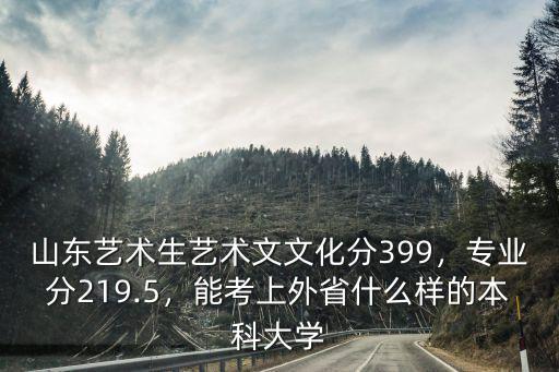 山東美術生專業分數線多少,美術專業生綜合分最低多少
