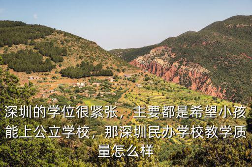 深圳基礎教育質量怎么樣,深圳的經濟發達眾所周知