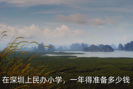 在深圳上民辦小學，一年得準備多少錢