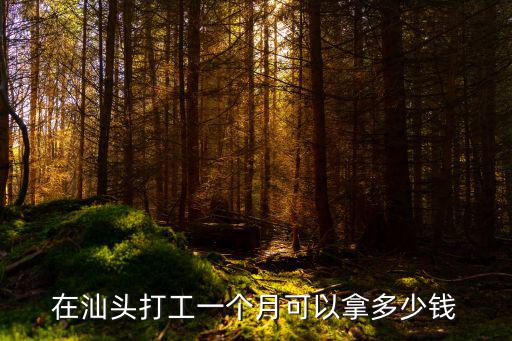 在汕頭打工一個(gè)月可以拿多少錢