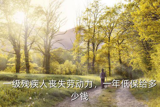 一級(jí)殘疾人喪失勞動(dòng)力，一年低保給多少錢(qián)