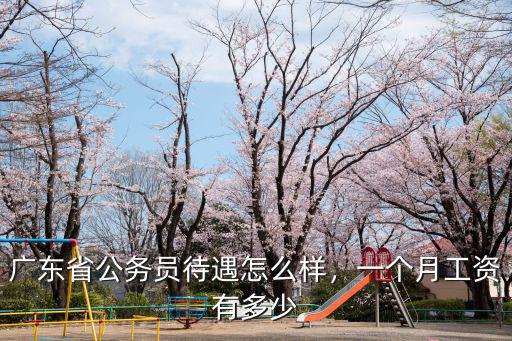 廣東肇慶羅定公務員工資多少,一個月工資有多少