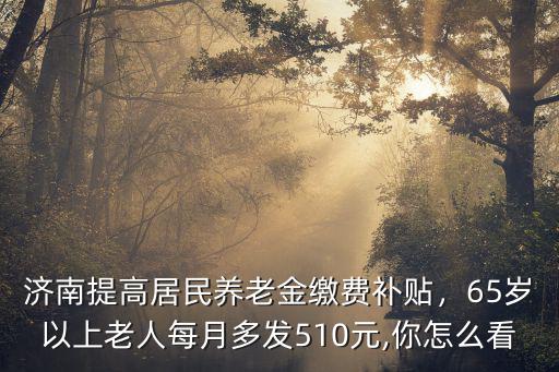 濟(jì)南65歲農(nóng)民養(yǎng)老補(bǔ)貼多少,濟(jì)南提高居民養(yǎng)老金繳費(fèi)補(bǔ)貼