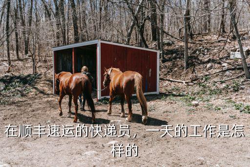 在順豐速運(yùn)的快遞員，一天的工作是怎樣的