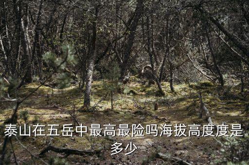 泰山在五岳中最高最險(xiǎn)嗎海拔高度度是多少