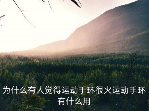 梅州哪里有運動手環,運動手環有什么用