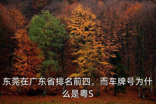 廣東車牌號怎么排名的,東莞在廣東省排名前四