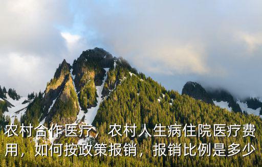 聊城合作醫療報銷比例是多少,報銷比例是多少