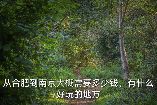 從南京到合肥的高鐵是多少錢,從合肥到南京大概需要多少錢