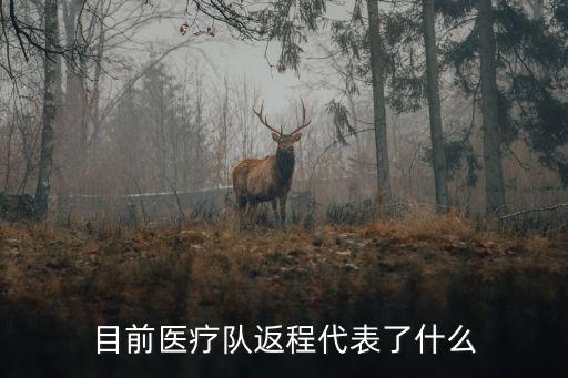 江蘇援鄂醫療隊返程多少人,目前醫療隊返程代表了什么