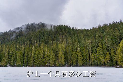護士一個月有多少工資