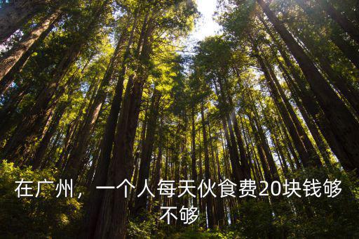 在廣州，一個人每天伙食費20塊錢夠不夠