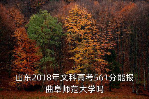 山東曲阜師范大學文科13年多少分,山東2019年的高考生