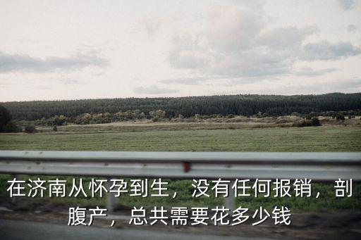 濟南生個孩子多少錢,總共需要花多少錢