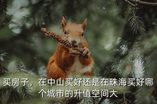 在珠海哪里買房子升值空間大,哪個城市的升值空間大