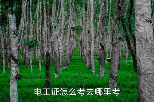 汕尾電工哪里考,我做電工做了5年