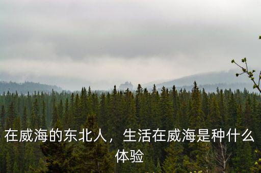 在威海的東北人，生活在威海是種什么體驗