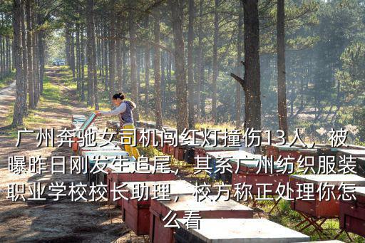 廣州奔馳女司機闖紅燈撞傷13人，被曝昨日剛發(fā)生追尾，其系廣州紡織服裝職業(yè)學校校長助理，校方稱正處理你怎么看