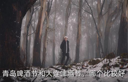 青島啤酒節(jié)和大連啤酒節(jié)，哪個比較好