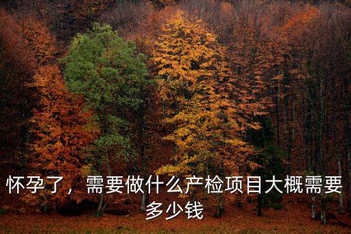 懷孕了，需要做什么產檢項目大概需要多少錢