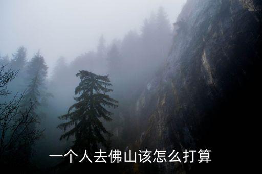 一個人去佛山該怎么打算