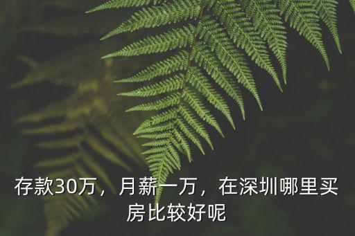 存款30萬(wàn)，月薪一萬(wàn)，在深圳哪里買房比較好呢
