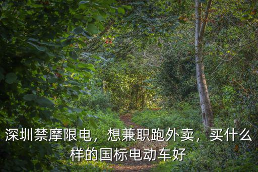 離開深圳了電動車怎么辦,我最終還是離開了深圳