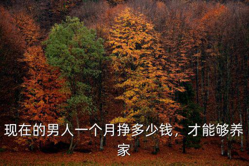 現在的男人一個月掙多少錢，才能夠養家