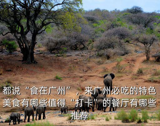 來廣州怎么吃,去廣州怎么吃最省錢