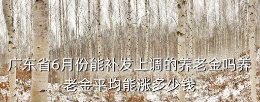 廣東省6月份能補發(fā)上調(diào)的養(yǎng)老金嗎養(yǎng)老金平均能漲多少錢