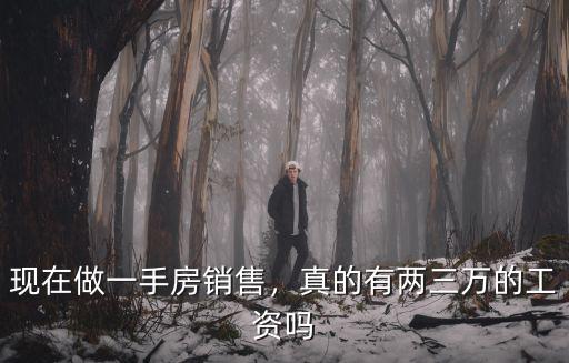 現在做一手房銷售，真的有兩三萬的工資嗎
