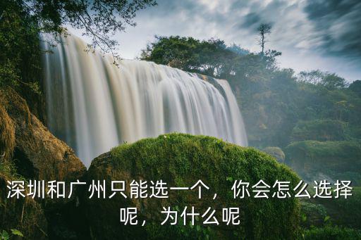 深圳和廣州只能選一個，你會怎么選擇呢，為什么呢