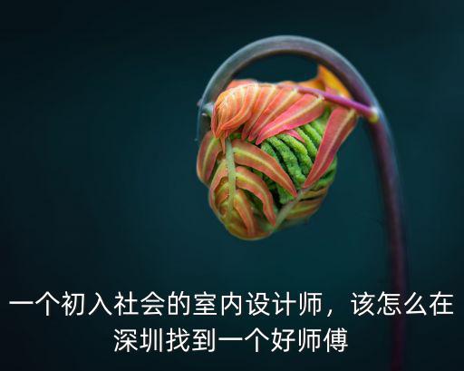 一個初入社會的室內(nèi)設(shè)計師，該怎么在深圳找到一個好師傅