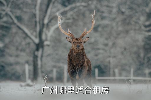 廣州嘉禾望崗房源哪里最好,廣州哪里適合租房
