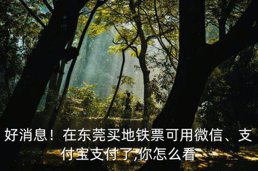 手機怎么乘坐東莞地鐵,國慶節(jié)刷手機就可坐地鐵